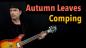 Preview: Autumn Leaves Comping